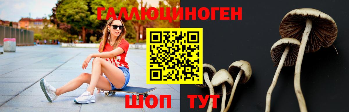 Алапаевск  Псилоцибиновые грибы мухоморы  Вход с VPN 